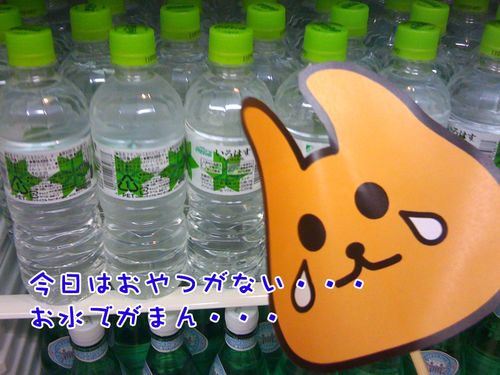 トフン・・（今日はおやつがない・・水しかない・・クスン・・と言っている） 