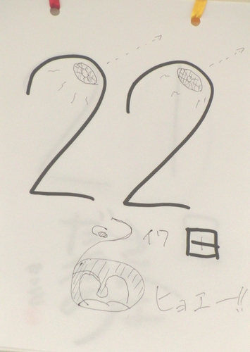 22日